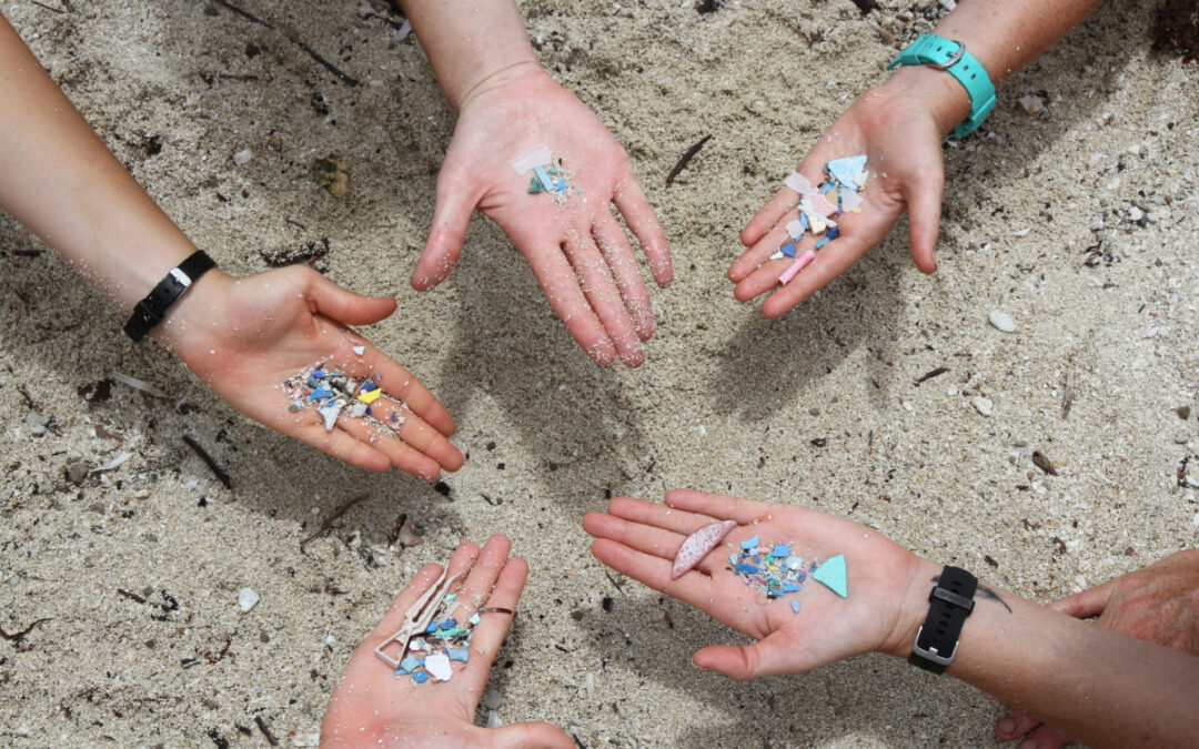 Mikroplastik © WWF-Australien/Veronica Joseph